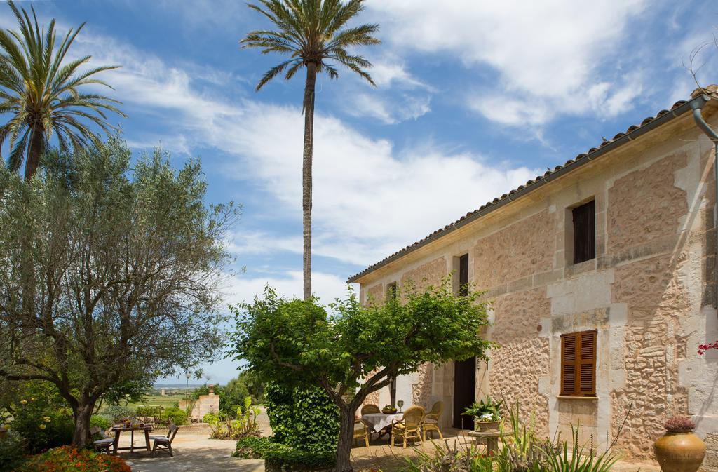 Es Pla De Llodrá * Manacor (Mallorca)