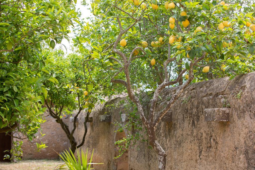 Es Pla De Llodrá Agroturismo Manacor (Mallorca)